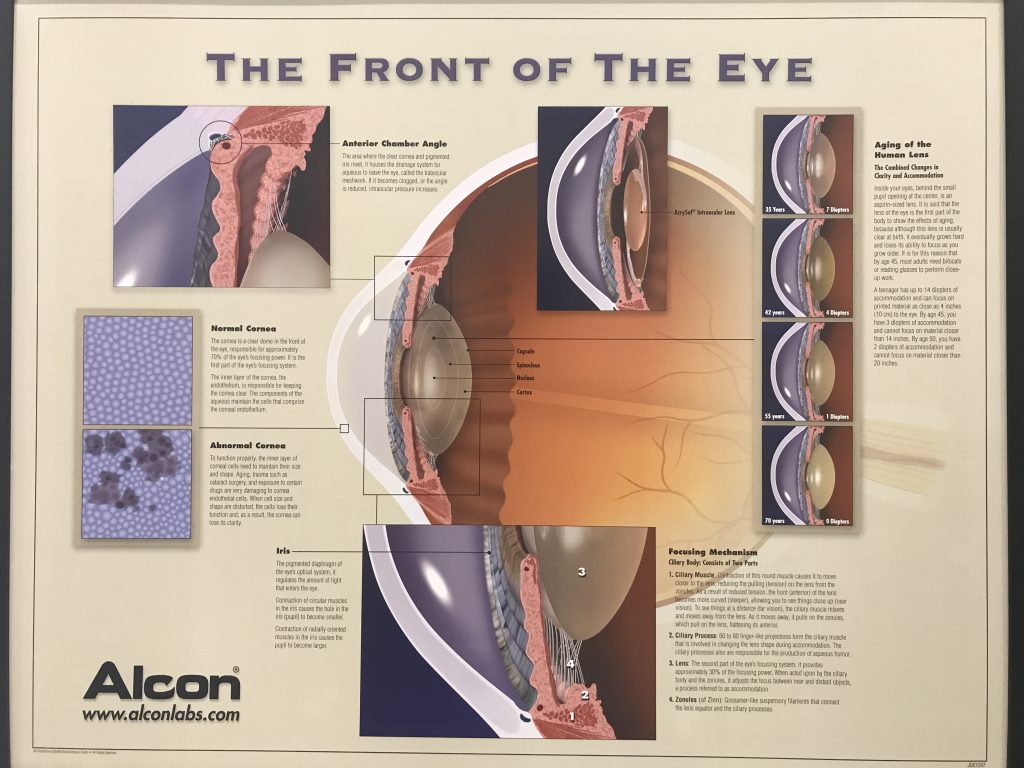 IMG 5265 1 1024x768 - | Eye & Glasses Optometrist | Your Trusted Eye Care Professional. When was your last time you did your eye check up?
