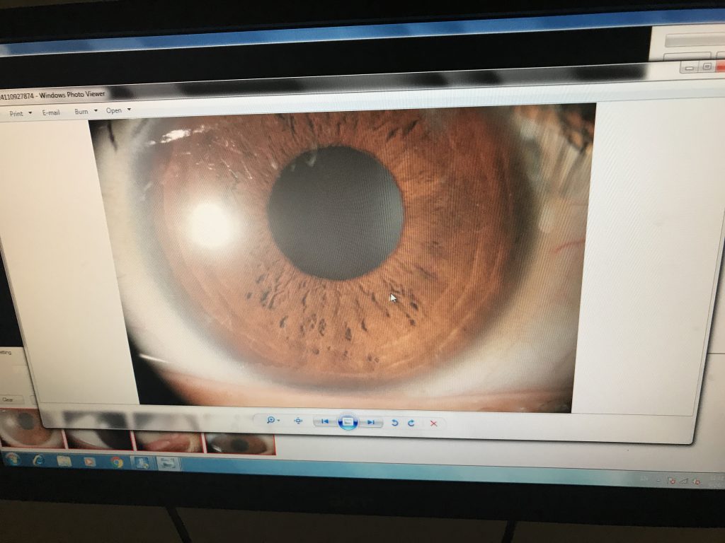 | Eye & Glasses Optometrist | Your Trusted Eye Care Professional. When was your last time you did your eye check up? SLXG1178 1024x768 - | Eye & Glasses Optometrist | Your Trusted Eye Care Professional. When was your last time you did your eye check up?