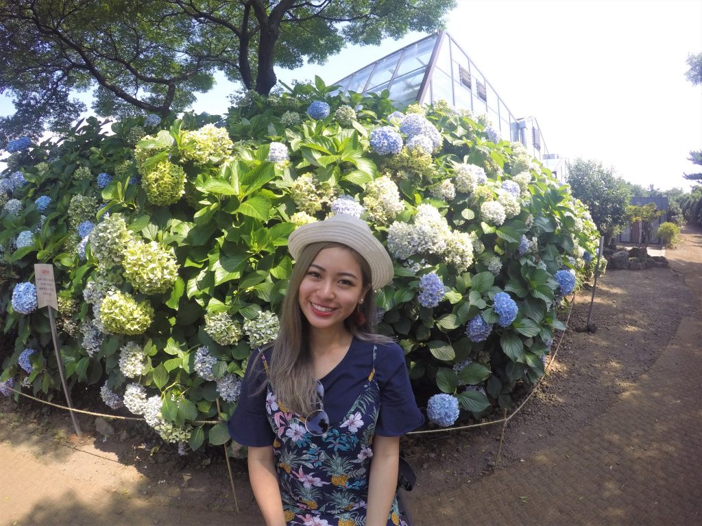 GOPR9889 1024x768 - The Beauty of Jeju-do in 1 Week - 环绕济州岛7天