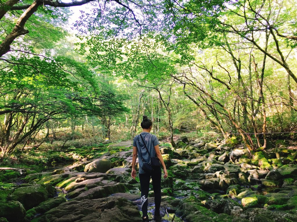 IMG 3750 1024x768 - The Beauty of Jeju-do in 1 Week - 环绕济州岛7天