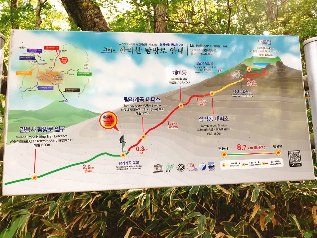 IMG 3753 1024x768 - The Beauty of Jeju-do in 1 Week - 环绕济州岛7天