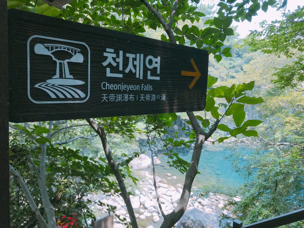 IMG 7273 1024x768 - The Beauty of Jeju-do in 1 Week - 环绕济州岛7天