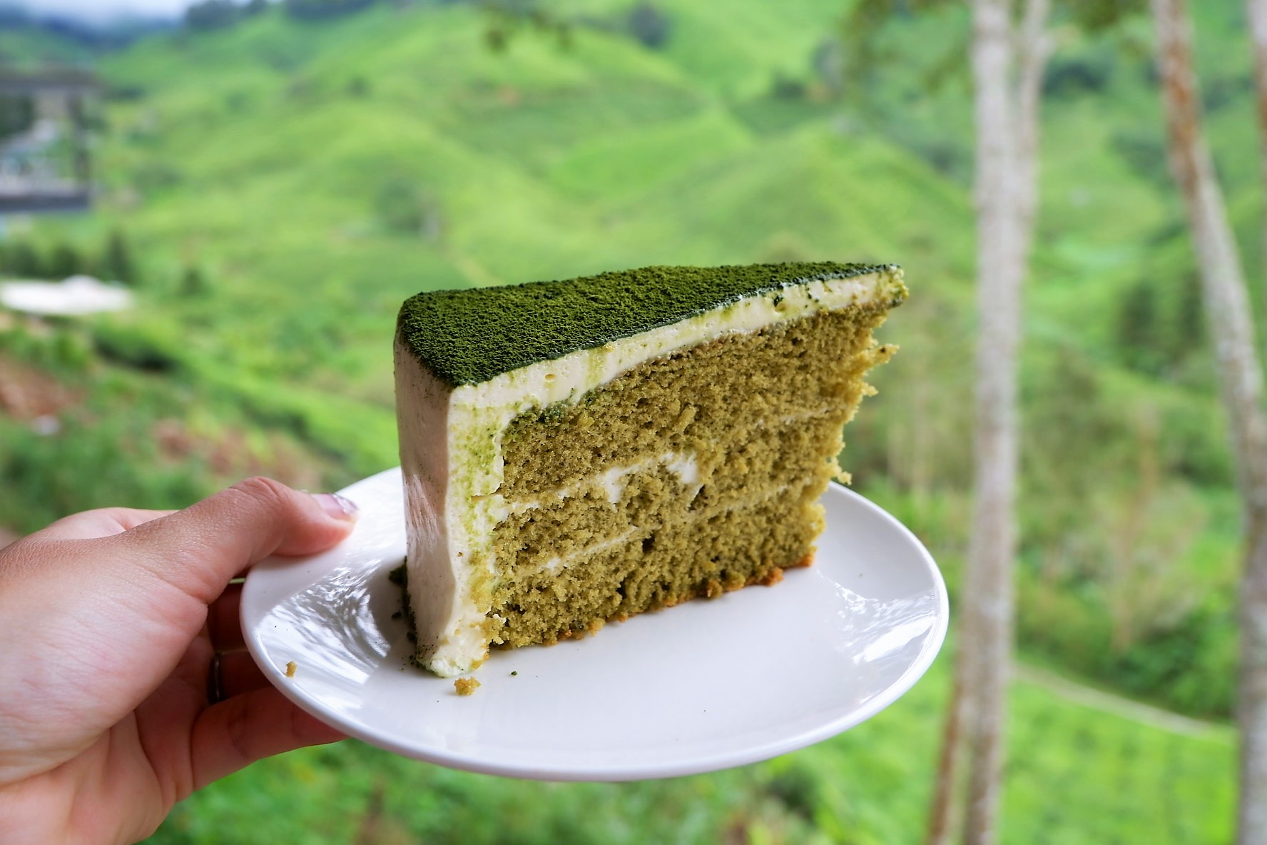 IMG 5243 - A Getaway in Cameron Highlands that will gives you more than you deserve!